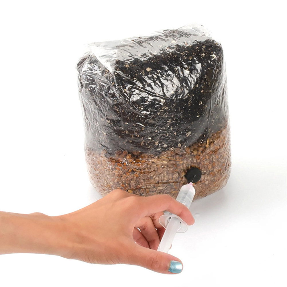 Mushroom Spawn Bag - 20 Sacos de Cultivo de Cogumelos