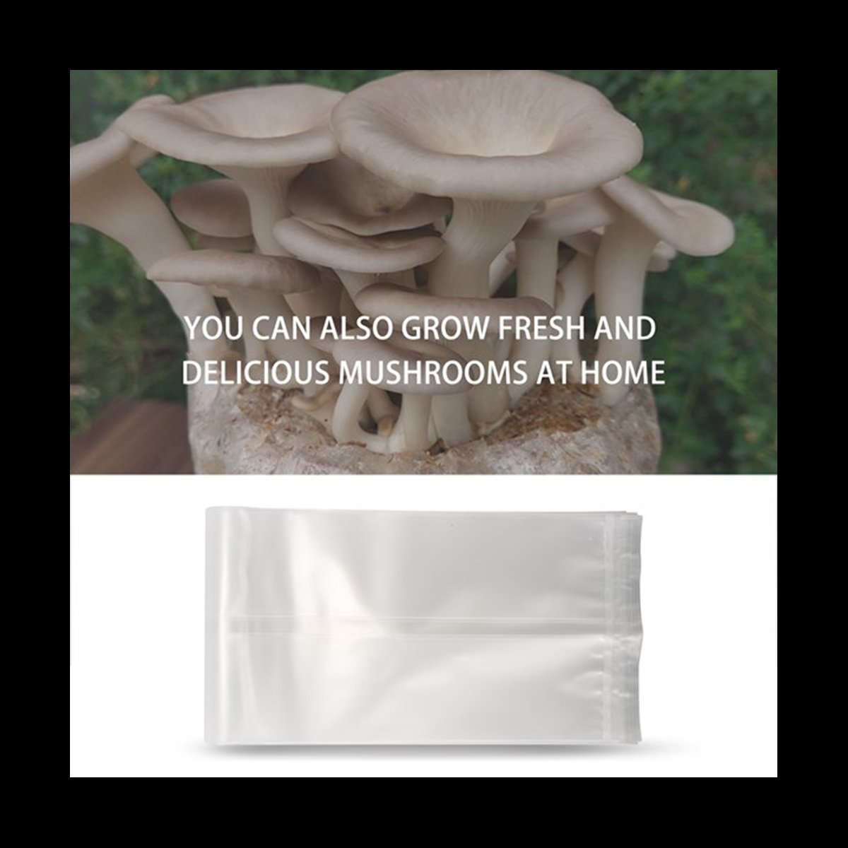 Mushroom Spawn Bag - A78I 50 sacos de cogumelo/sacos de