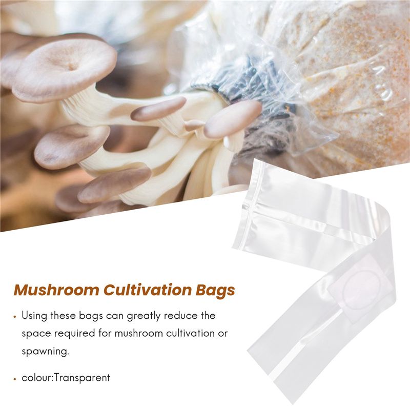 100 Sacos para Cultivo de Cogu - Mushroom Spawn Bag avaliação e preço