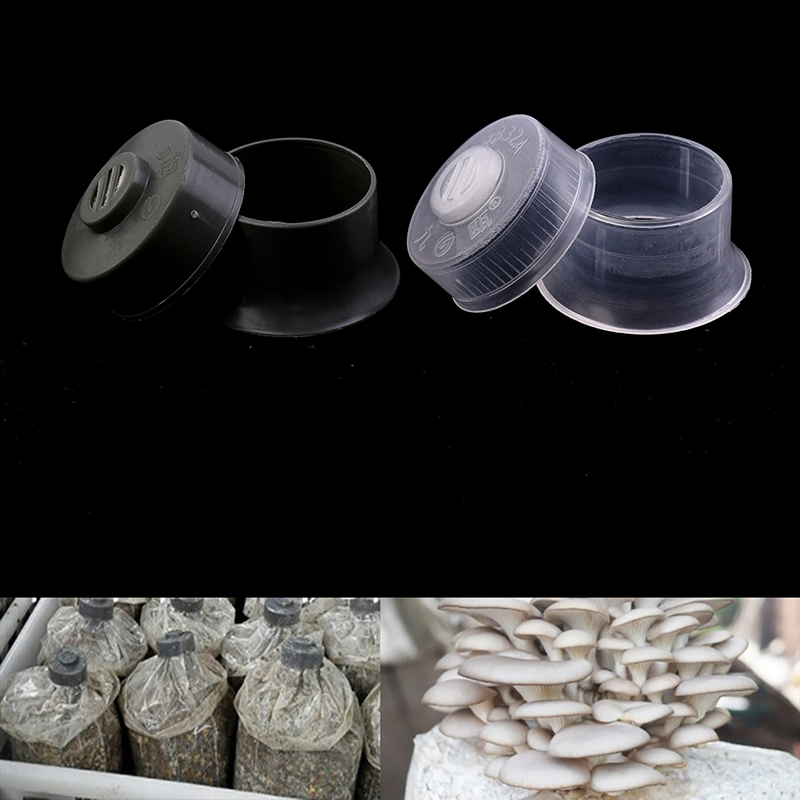 Pré Sealable Jardim Plantador  - Mushroom Spawn Bag avaliação e preço