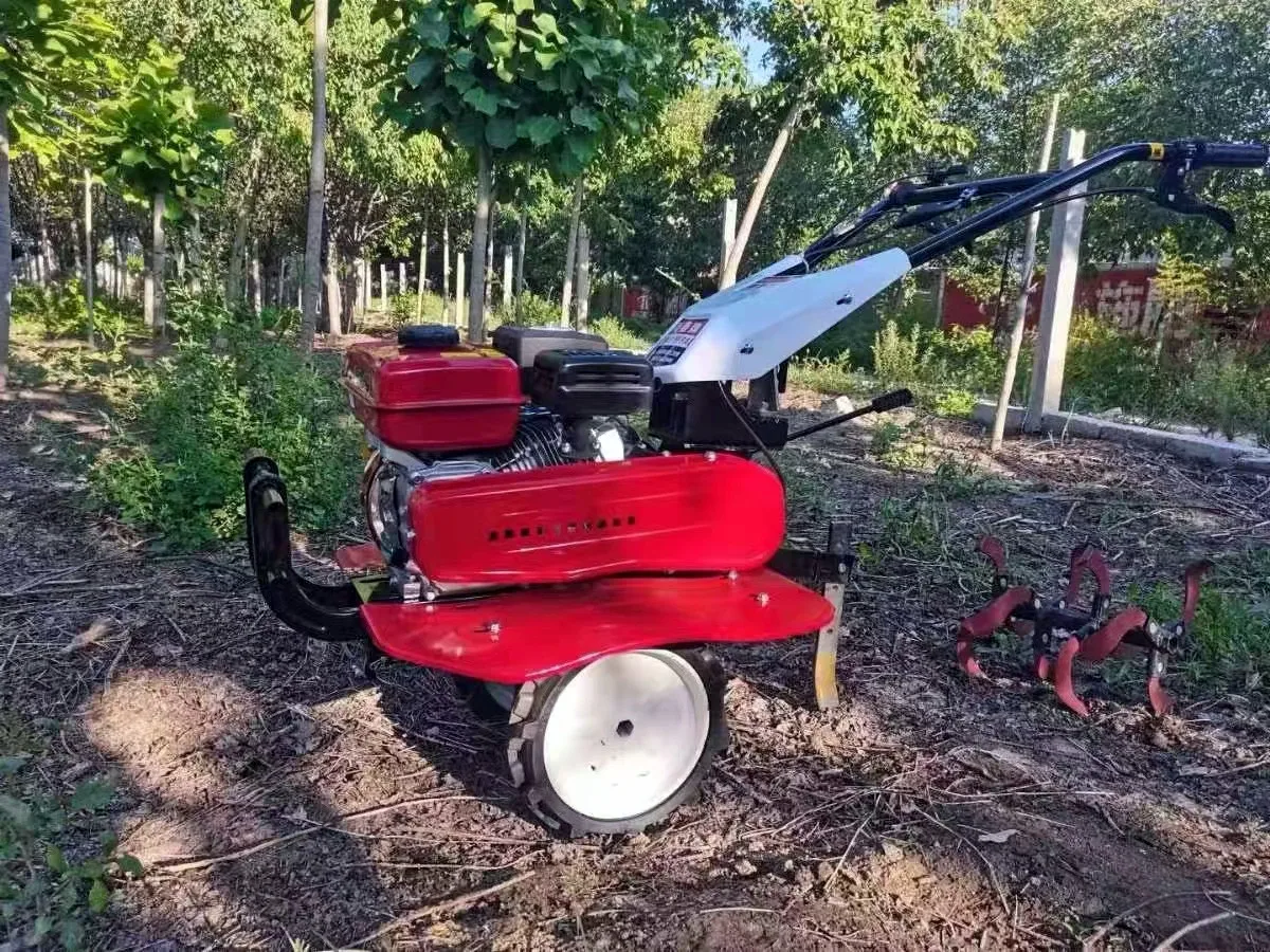 Super Oferta: Melhor Cultivado - Organic Farming Of Agriculture avaliação e preço