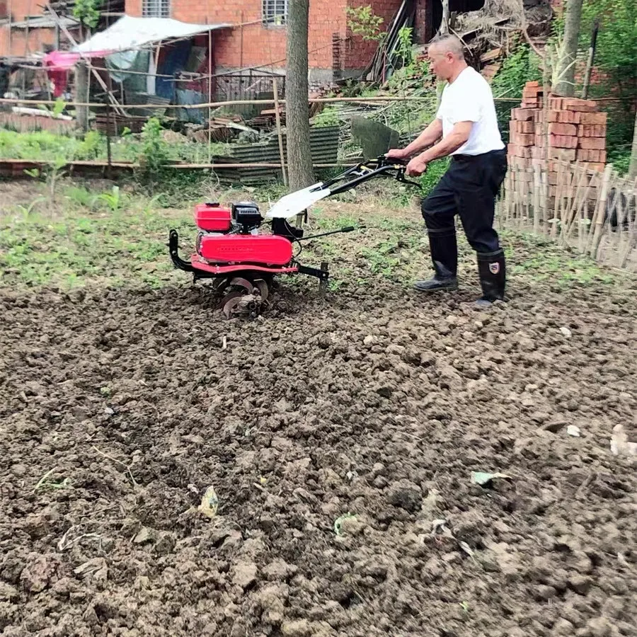 Super Oferta: Melhor Cultivado - Organic Farming Of Agriculture avaliação e preço