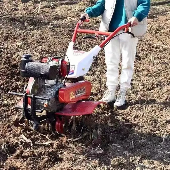 Super Oferta: Melhor Cultivado - Organic Farming Of Agriculture avaliação e preço