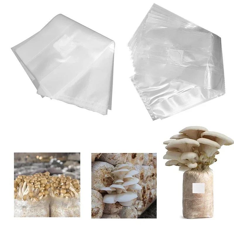 10/20 Peças Sacos para Cultivo - Mushroom Spawn Bag avaliação e preço