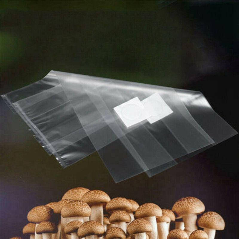 AT44-100 Peças Sacos Transpare - Mushroom Spawn Bag avaliação e preço