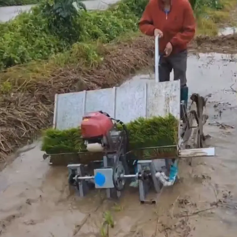 Transplantador/Plantador de Ar - Agriculture Farming Rice avaliação e preço