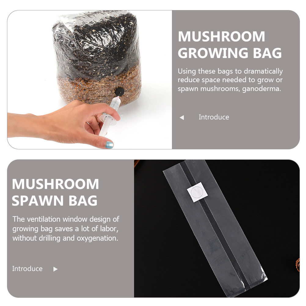 20 Sacos Transparentes de Cult - Mushroom Spawn Bag avaliação e preço