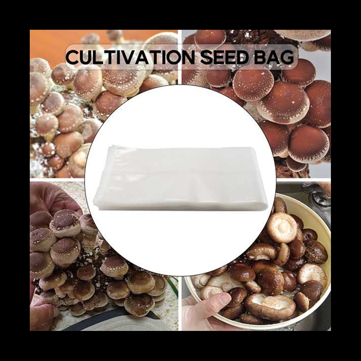 A78I 50 sacos de cogumelo/saco - Mushroom Spawn Bag avaliação e preço